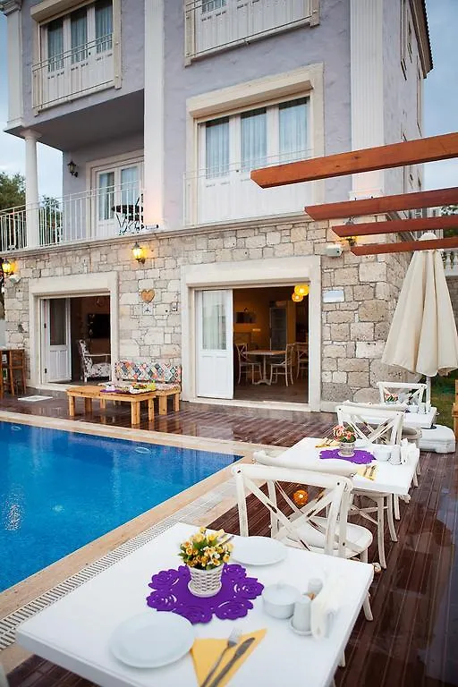 Ionic Hotel Алачати